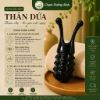 DỤNG CỤ MASSAGE VÀ ẤN HUYỆT CẦM TAY SỪNG ỐC SÊN THÂN DỨA,THON GỌN MŨI, NÂNG CƠ MẶT